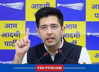 Raghav-Chadha-AAP