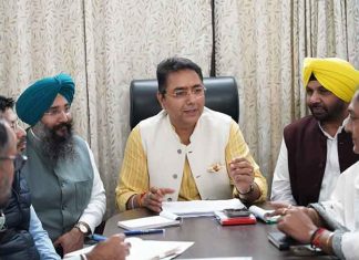 AAP Punjab Gears Up for MC Elections