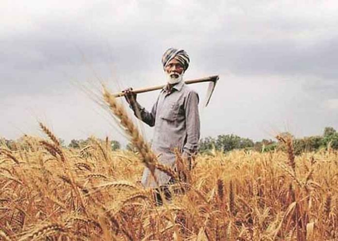 Punjab Farmer Photo