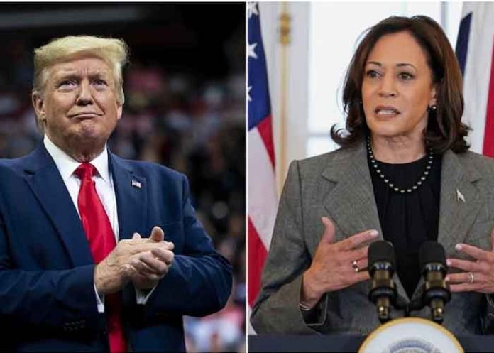 donald-trump-and-kamala-harris-polls.jpg