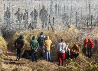 Migrants-near-border