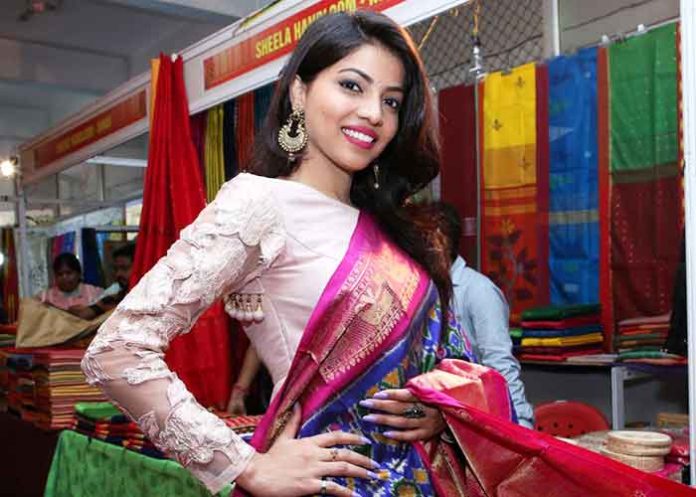 National Silk Expo Patola Saree