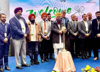 Punjab-Aims-to-Boost-Livestock-Productivity