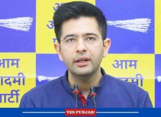 Raghav Chadha AAP MP 1