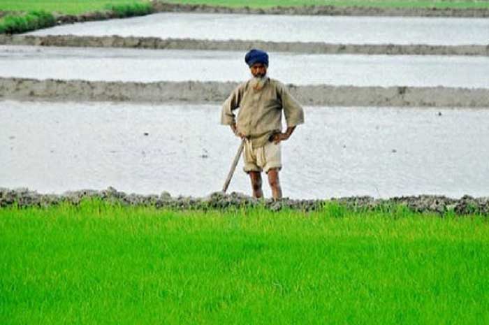2 cr farmers to be enrolled under PM-KMY by Aug 15