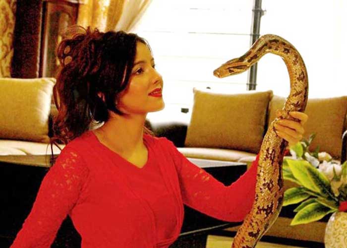 Rabi Pirzada with Snake