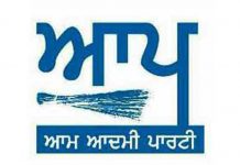 AAP Punjabi Logo
