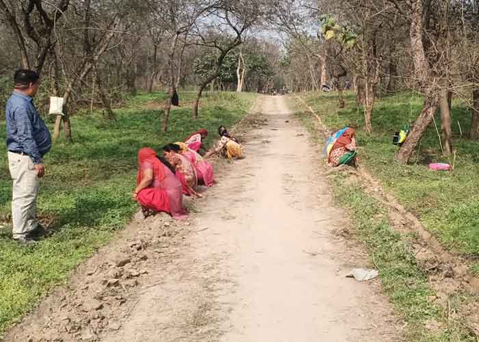 Punjab women make living out of their backyard greens
