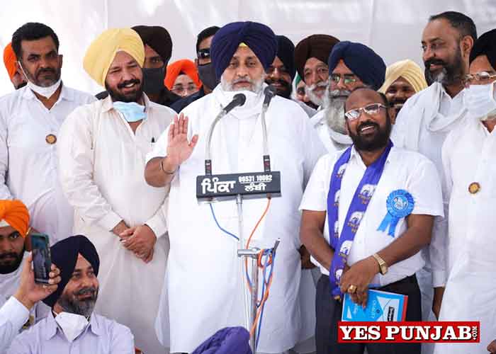Sukhbir hold protests at PSPCL offices
