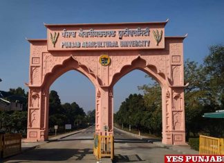 PAU Ludhiana Gate