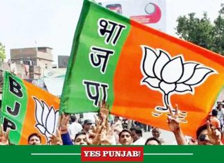 BJP Flags Punjab Song