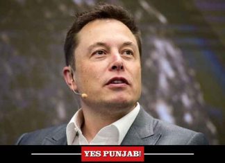 Elon Musk and