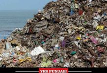 Plastic Waste Beach
