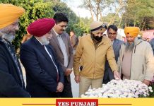 Mandeep Sidhu visits Chrysanthemum Show at PAU