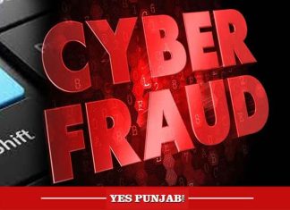 Cyber Fraud in