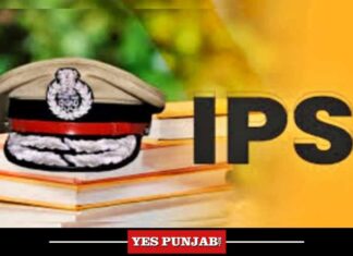 IPS Logo as