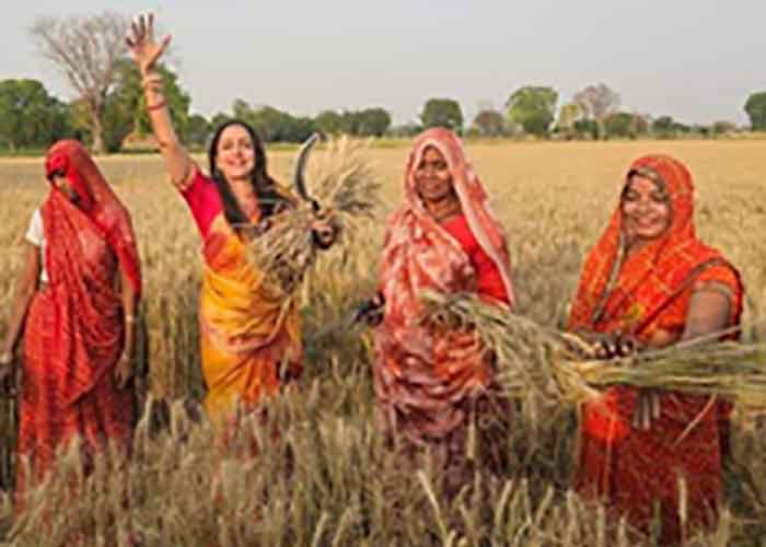चुनाव है तो सब होता है, हेमा मालिनी ने खेत में काटी गेहूं की फसल, इसके बाद… Hema Malini has shared pictures of wheat cutting on social media platform X, in which she is seen cutting wheat.