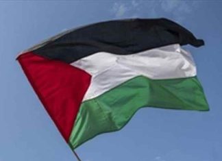 Palestine--flag