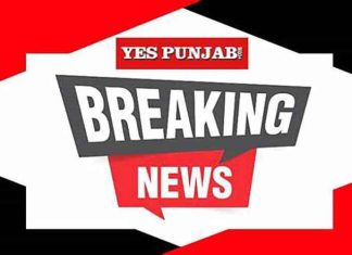 Breaking News - Red & Black Banner - Yes Punjab News