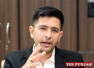 Raghav-Chadha-AAP-MP