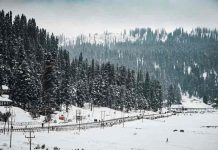 jammu-and-kashmir-snowfall