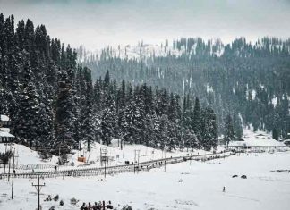 jammu-and-kashmir-snowfall