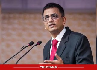 CJI-DY-Chandrachud-Chief-Justice