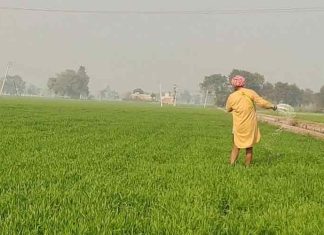 Farmers-in-Farm