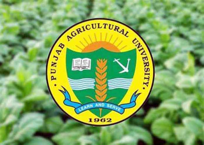 Punjab-Agricultural-University-PAU-Logo