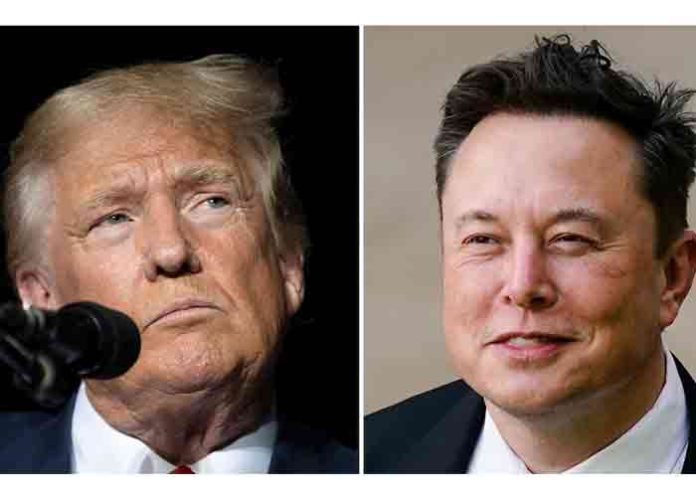 elon musk and donald trump