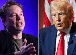 elon-musk-and-donald-trump-USA