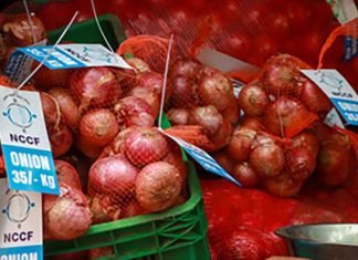 Centre hikes onion procurement price by 13 pc to Rs 2,125 per quintal Onion-prices