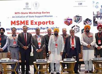 CM Mann Punjab MSMEs poised