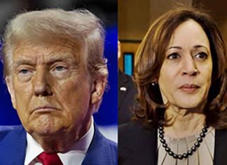 Donald-trump Kamala-Harris photo