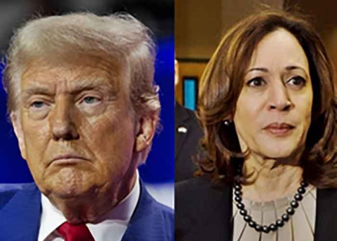 Donald-trump Kamala-Harris photo