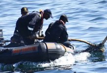 Indian Coast Guard Rescues Olive Ridley Turtle