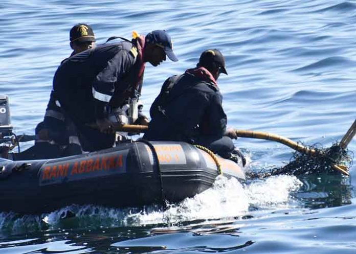 Indian Coast Guard Rescues Olive Ridley Turtle