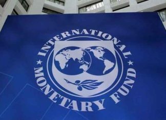 International Monetary Fund (IMF)