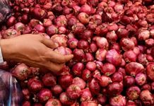 Onion-prices high