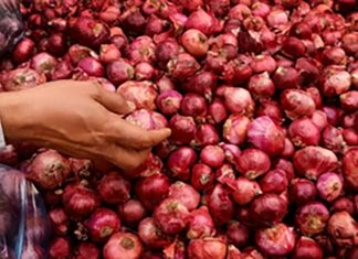 Onion-prices high