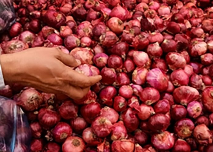 Onion-prices high