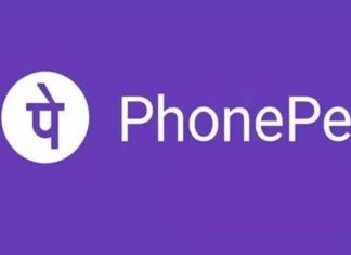 PhonePe Logo