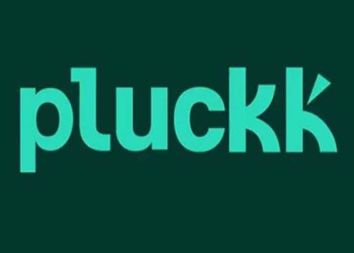 Pluckk Logo