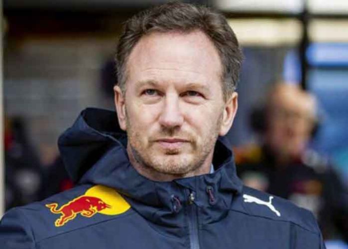 Racer Christian Horner