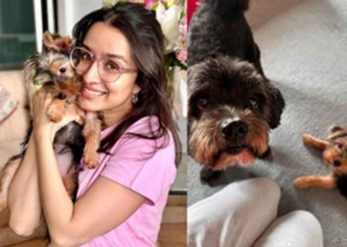 Shraddha Kapoor reveals her pet dog’s