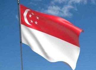 Singapore Flag