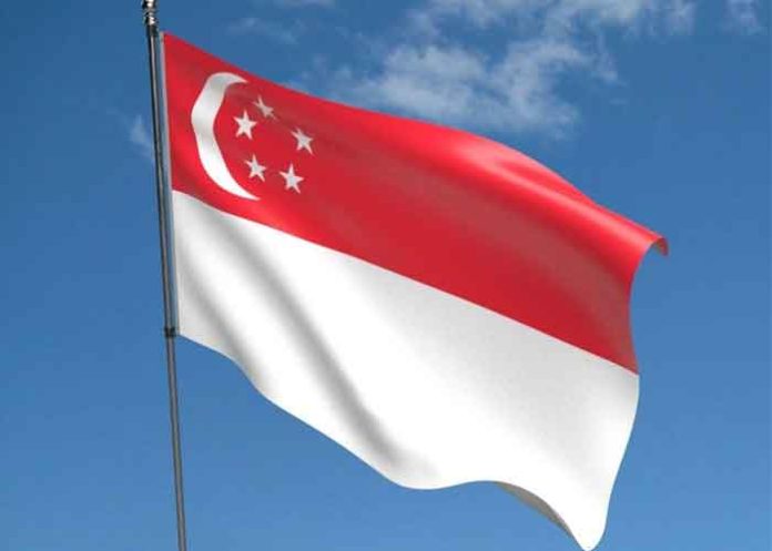 Singapore Flag