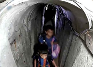 Yahya Sinwar, family fleeing into tunnel