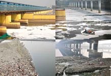 Yamuna River Pictures