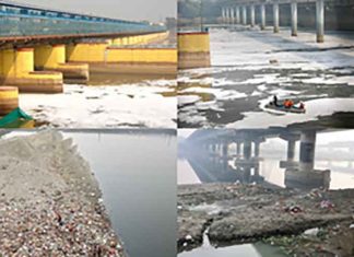 Yamuna River Pictures